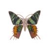 Broche de metal rosado con nácar y esmalte, en forma de mariposa, Salvatore Plata 261BM006.